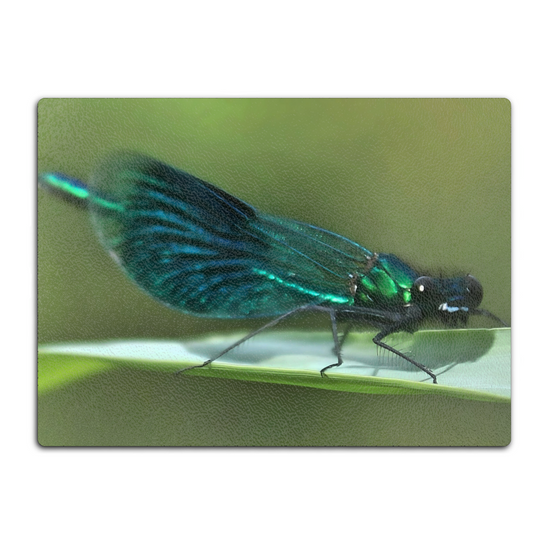 Animals & Nature. The Stylish Textured Glass Chopping Board. The Beautiful Demoiselle Damselfly. Doncaster. Yorkshire. England.