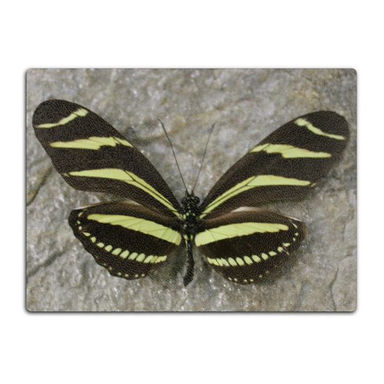 Animals & Nature. The Stylish Textured Glass Chopping Board. Butterfly House. Varna. Bulgaria.