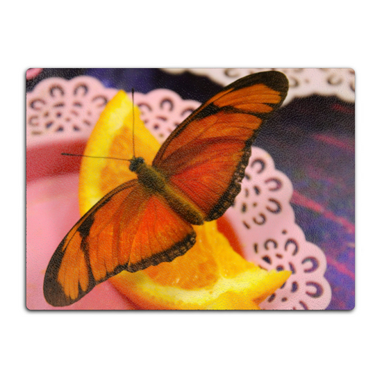 Animals & Nature. The Stylish Textured Glass Chopping Board. Butterfly House. Varna. Bulgaria.