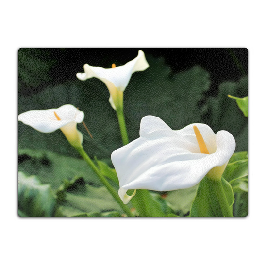 Animals & Nature. The Stylish Textured Glass Chopping Board. Calla Lily Flower. Brodick Castle Gardens. Isle of Arran. Scotland.