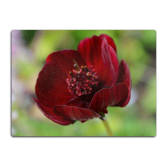 Animals & Nature. The Stylish Textured Glass Chopping Board. Chocolate Cosmos Flower. Brodick Castle Gardens. Isle of Arran. Scotland.