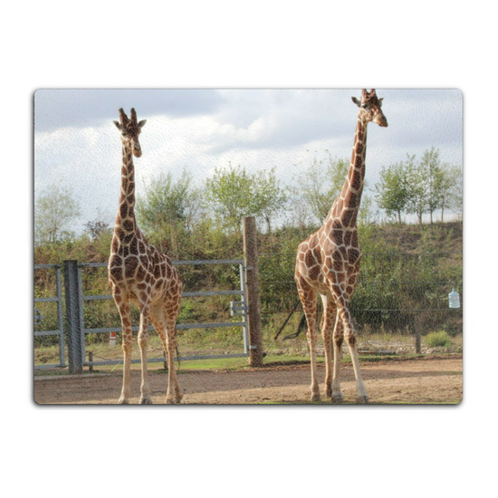 Animals & Nature. The Stylish Textured Glass Chopping Board. Yorkshire Wildlife Park. Doncaster. Yorkshire. England.