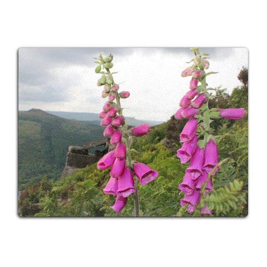 The Stylish Textured Glass Chopping Board. Bamford Edge. Peak District National Park. Derbyshire. England.