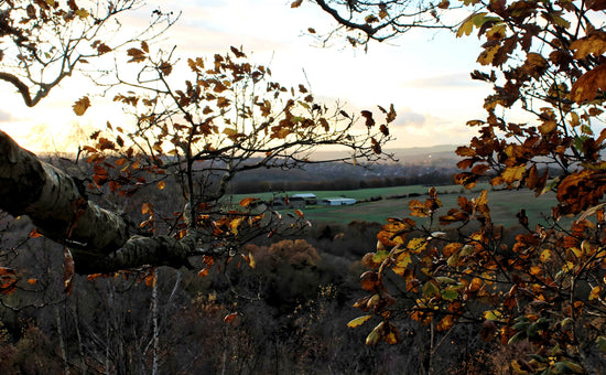 Kimberworth - Rotherham. Yorkshire - England.