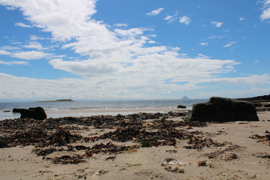 Kildonan Beach -  Pladda Island & Ailsa Craig View. Arran - Scotland. 2024