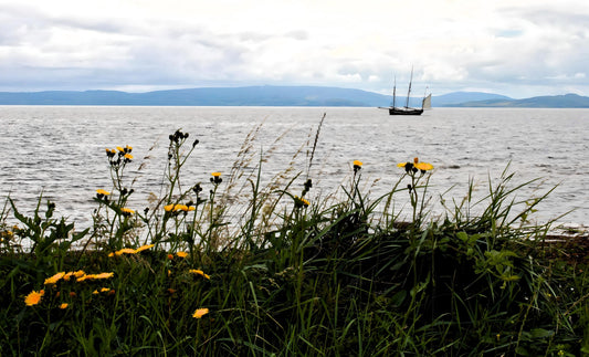 Blackwaterfoot -   Isle of Arran. Scotland.