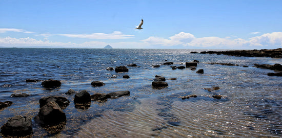 Kildonan Beach - Ailsa Craig View. Arran - Scotland.