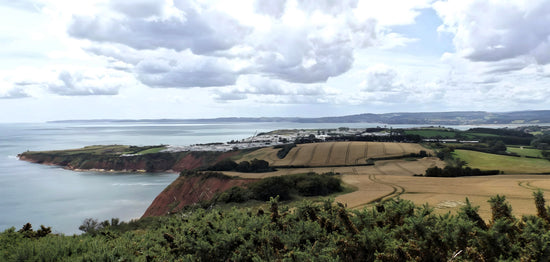 South West Coastal Path - Devon.  England.