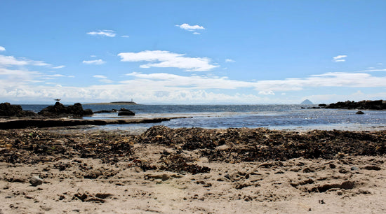 Kildonan Beach -  Pladda Island & Ailsa Craig View. Arran -  Scotland. 2024