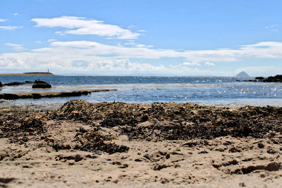 Kildonan Beach - Pladda Island & Ailsa Craig View. Arran -  Scotland.