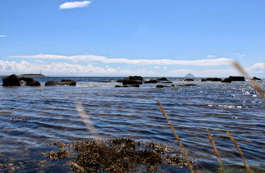 Kildonan Beach -  Pladda Island & Ailsa Craig View.  Arran - Scotland. 2024