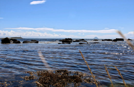 Kildonan Beach -  Pladda Island & Ailsa Craig View.  Arran - Scotland. 2024