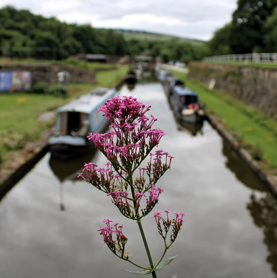 Bugsworth Canal Basin - High Peak Canal.  Derbyshire - England.