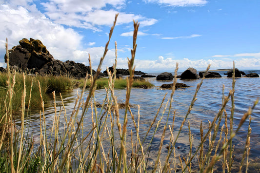 Kildonan Beach -  Pladda Island & Ailsa Craig View.  Arran -  Scotland. 2024