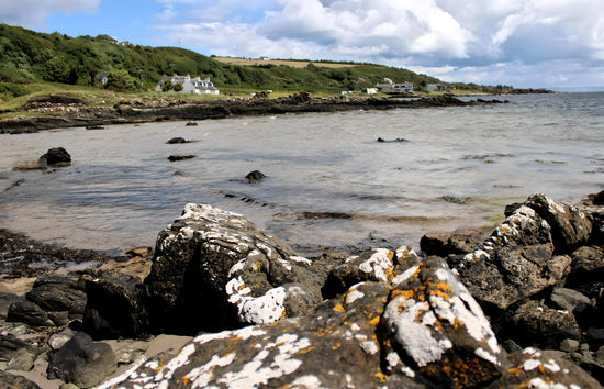 Kildonan Beach -  Arran. Scotland. 2024