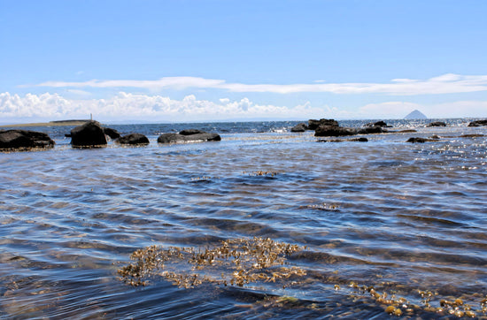 Kildonan Beach -  Pladda Island & Ailsa Craig View.  Arran. Scotland. 2024