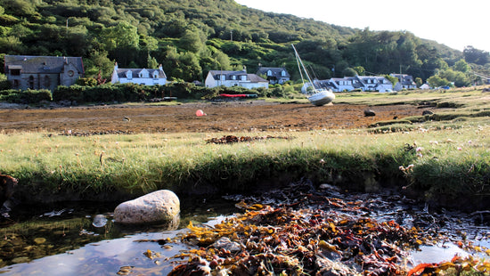 Lochranza -  Arran. Scotland. 2024