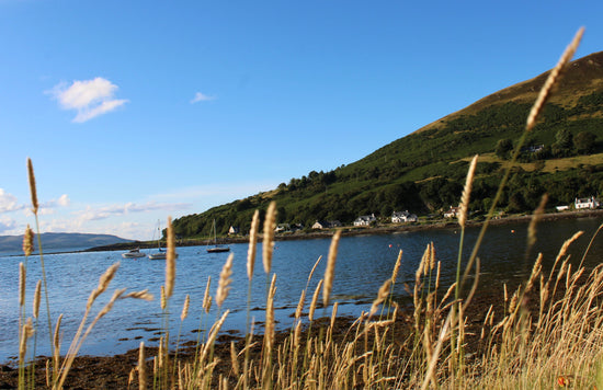 Lochranza  -  Arran. Scotland. 2024.