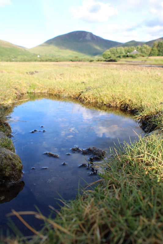 Lochranza  -  Arran. Scotland. 2024