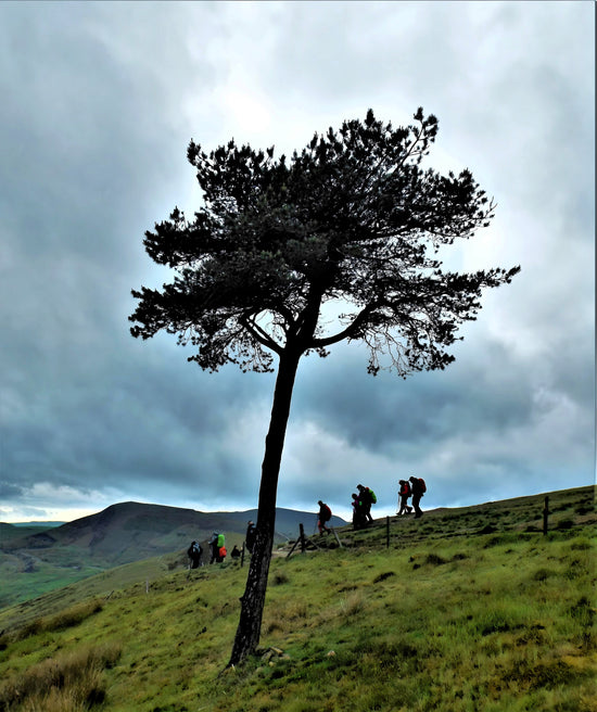 Mam Tor - Peak District. England.