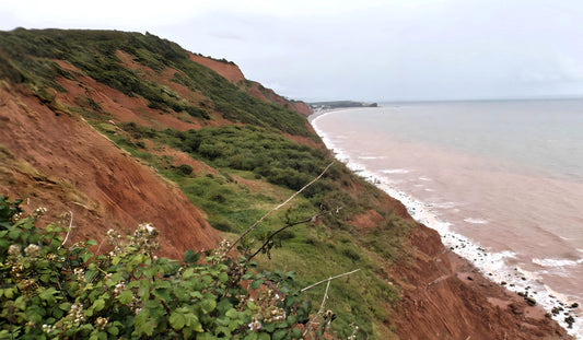 South West Coastal Path - Devon.  England.