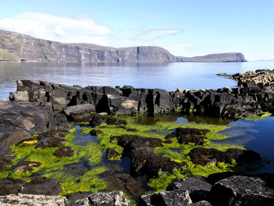 Neist Point  -  Isle of Skye. Scotland.