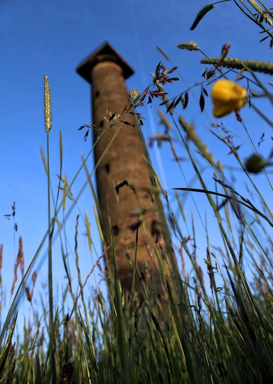 Keppel's Column - Wentworth Follies. Rotherham - United Kingdom.