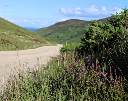 North Glen Sannox - Isle of Arran. Scotland.