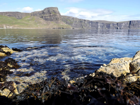 Neist Point  -  Isle of Skye. Scotland.