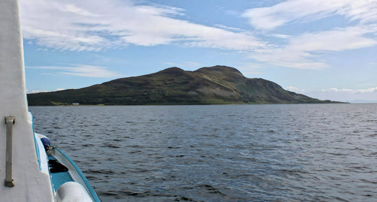 Holy Isle - Firth of Clyde.  Isle of Arran -  Scotland.