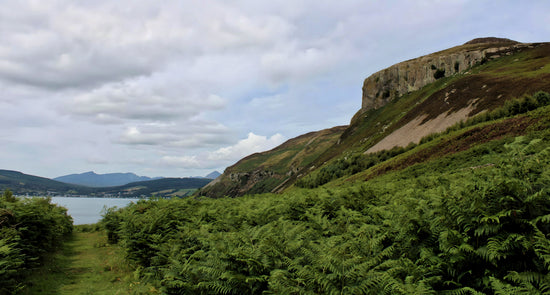 Holy Isle - Firth of Clyde.  Isle of Arran -  Scotland.