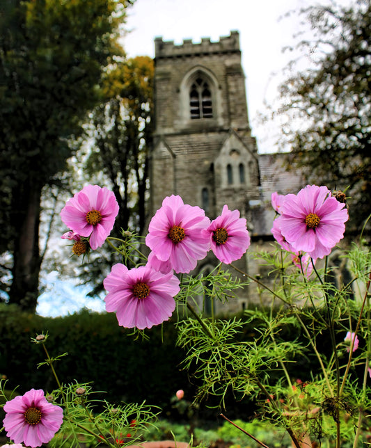 Cardiff - Wales. United Kingdom.