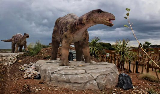 Yorkshire Wildlife Park - Doncaster. England.