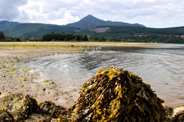Brodick Bay - Isle of Arran. Scotland.