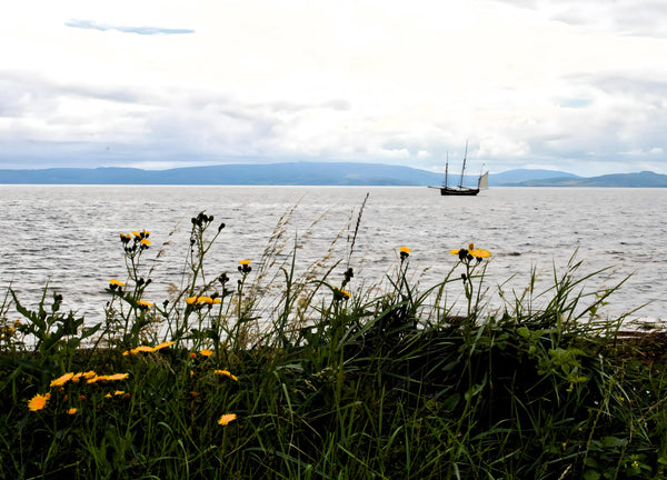 Blackwaterfoot - Isle of Arran. Scotland.