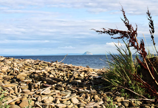 Sliddery - Isle of Arran. Scotland.