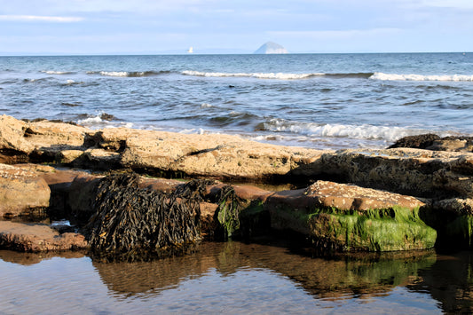 Sliddery - Isle of Arran. Scotland.