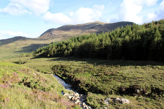 North Glen Sannox  Collection -  Isle of Arran. Scotland.