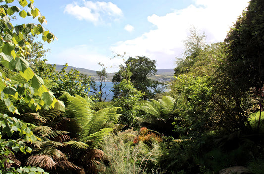 Brodick Castle Gardens -  Isle of Arran. Scotland.