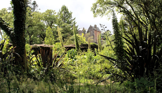 Brodick Castle & Gardens  -  Isle of Arran. Scotland.