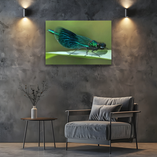 Canvas  Art. English Landscapes & Nature. The Beautiful Demoiselle Damselfly. Doncaster. South Yorkshire. England.
