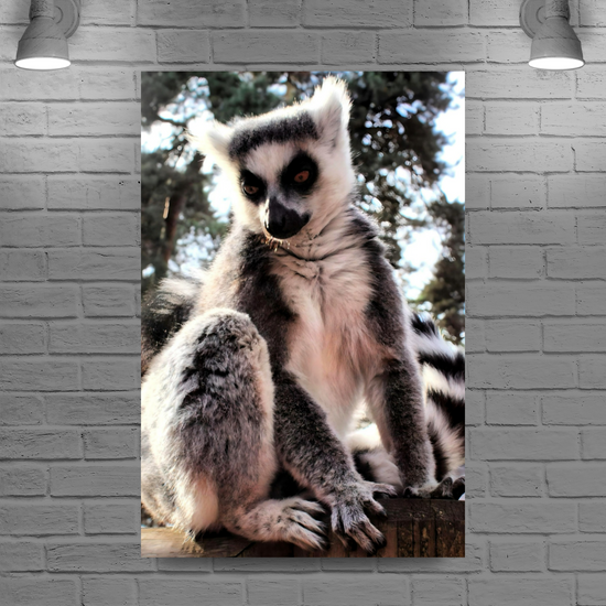 Canvas Art. English Landscapes & Nature. Yorkshire Wildlife Park. Doncaster. South Yorkshire. England.