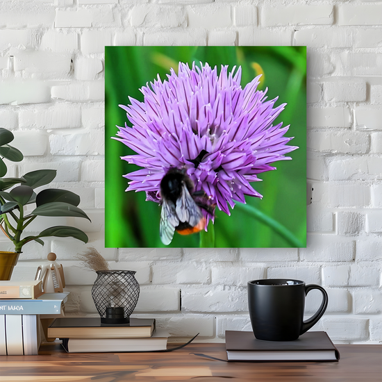 Canvas Art. English Landscapes & Nature. Rotherham. South Yorkshire. England.