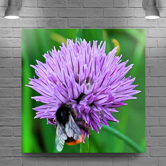 Canvas Art. English Landscapes & Nature. Rotherham. South Yorkshire. England.