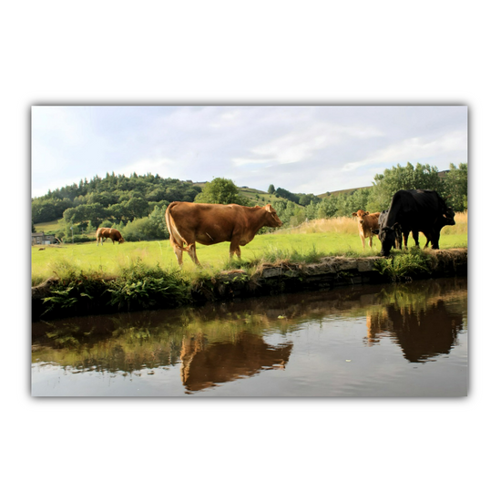 Canvas Art. English Landscapes & Riverscapes. Standedge  Canal. Huddersfield. West Yorkshire.  England.