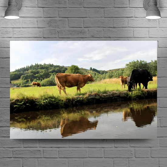 Canvas Art. English Landscapes & Riverscapes. Standedge  Canal. Huddersfield. West Yorkshire.  England.