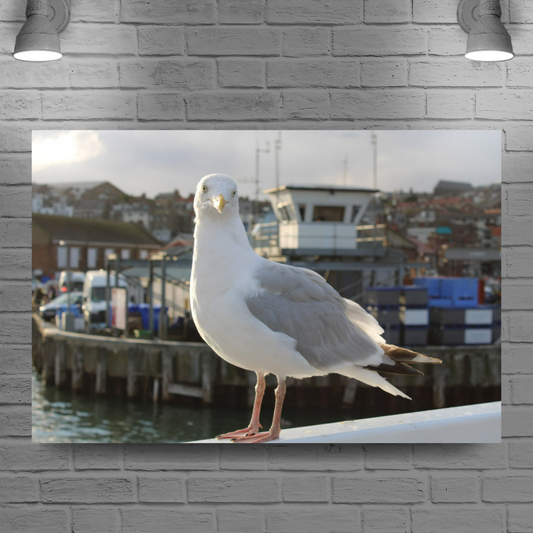 Canvas Art. English Landscapes & Nature. Scarborough. North Yorkshire. England.