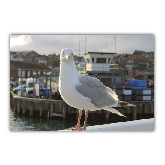 Canvas Art. English Landscapes & Nature. Scarborough. North Yorkshire. England.