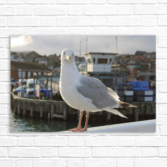 Canvas Art. English Landscapes & Nature. Scarborough. North Yorkshire. England.