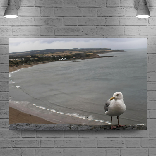 Canvas Art. English Landscapes & Seascapes. Scarborough. North Yorkshire. England